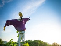 Badacsony 2014 DSC 2369