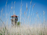 Ebes Hortobagy 201408 DSC 2400