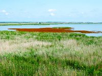 Ebes Hortobagy 201408 DSC 2435
