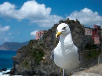 Liguria