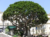 Monte-Carlo