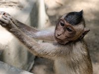 Can Gio Vietnam DSC 1124